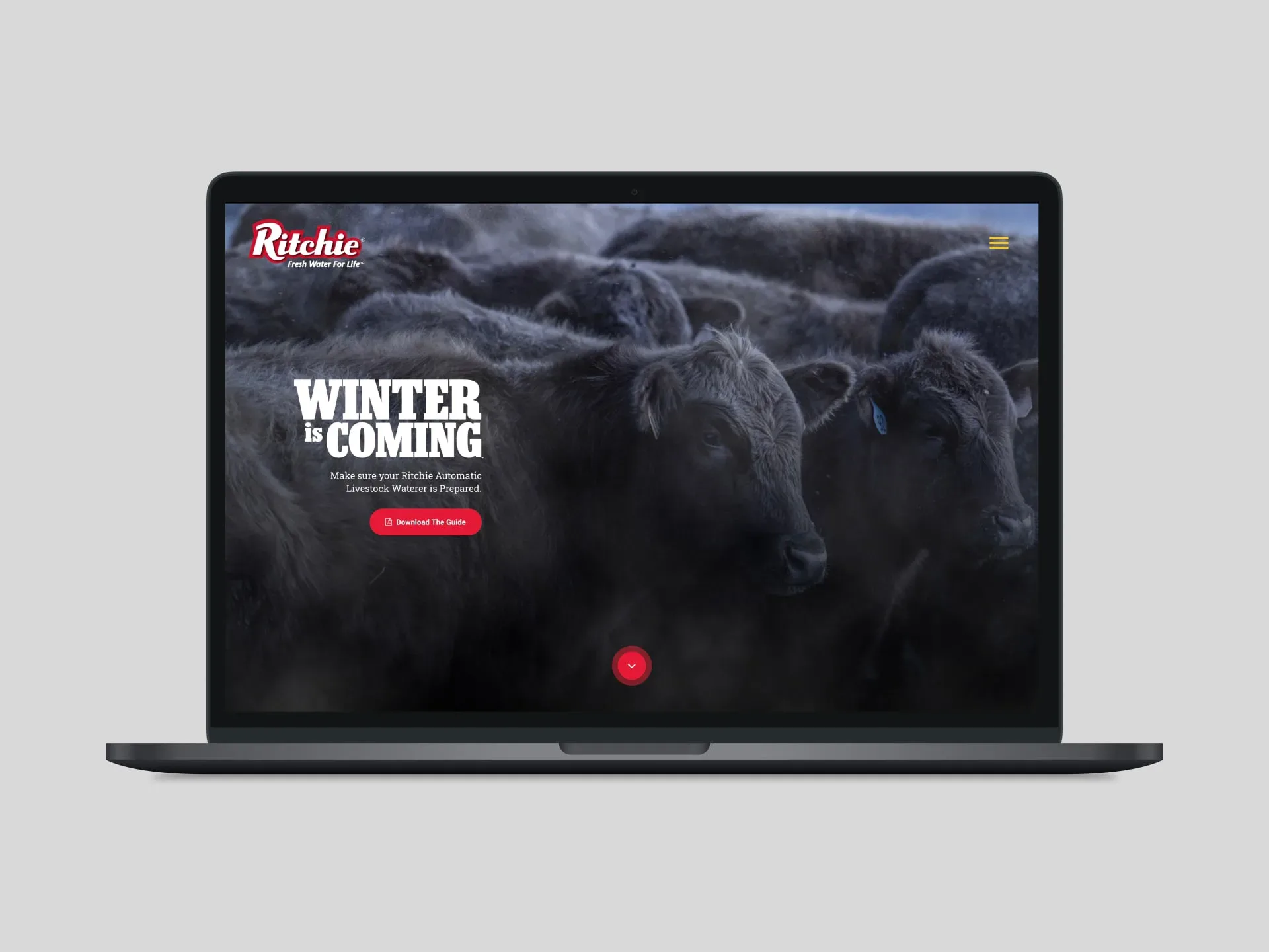 Ritchie winter is coming desktop